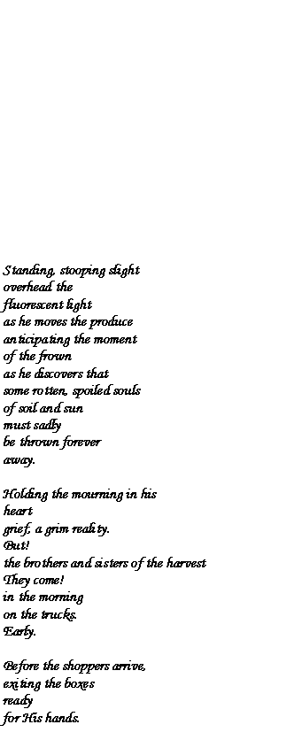 Text Box: Standing, stooping slightoverhead the fluorescent lightas he moves the produceanticipating the momentof the frownas he discovers thatsome rotten, spoiled soulsof soil and sunmust sadlybe thrown foreveraway.Holding the mourning in hisheartgrief, a grim reality.But!the brothers and sisters of the harvestThey come!in the morningon the trucks.Early.Before the shoppers arrive,exiting the boxesreadyfor His hands.