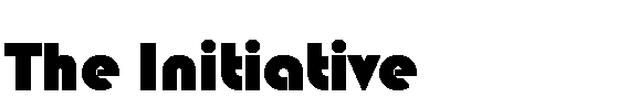 Text Box: The Initiative